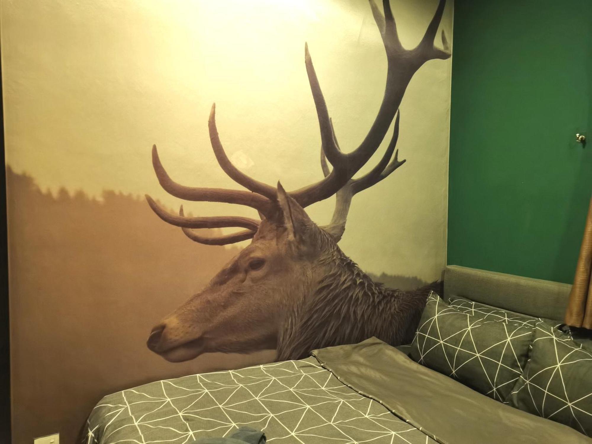 Cozy Forest Themed Homestay 4 Bedroom Kuala Lumpur Exteriér fotografie